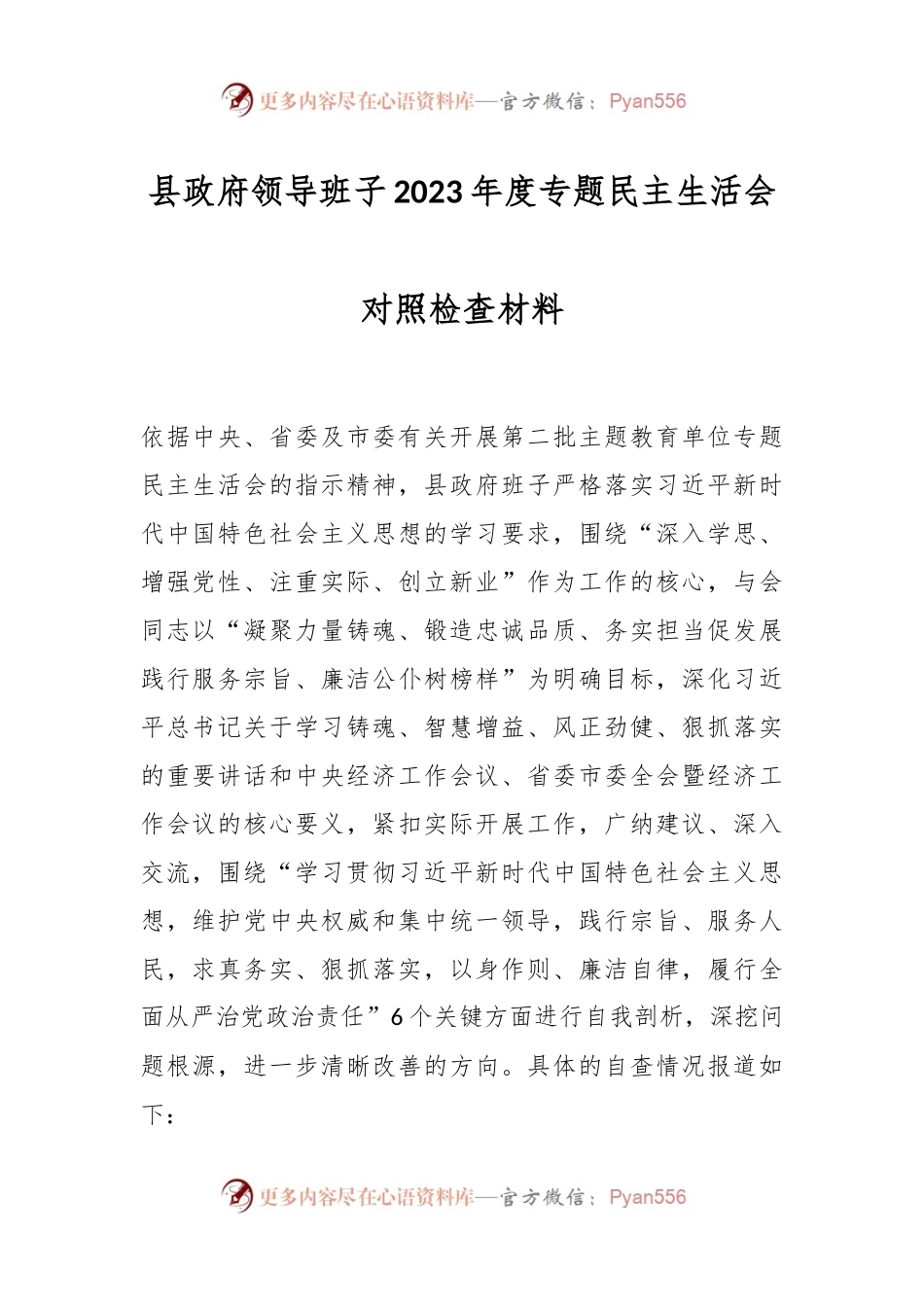 县政府领导班子2023年度专题民主生活会对照检查材料.docx_第1页
