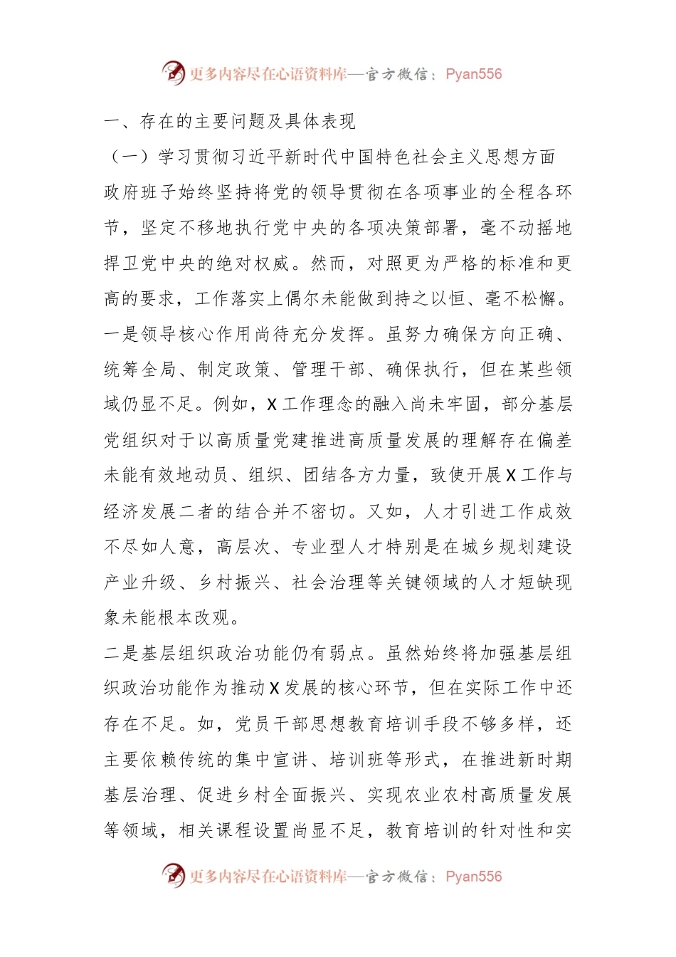 县政府领导班子2023年度专题民主生活会对照检查材料.docx_第2页