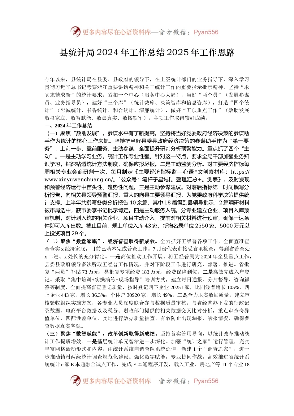 县统计局2024年工作总结2025年工作思路.docx_第1页