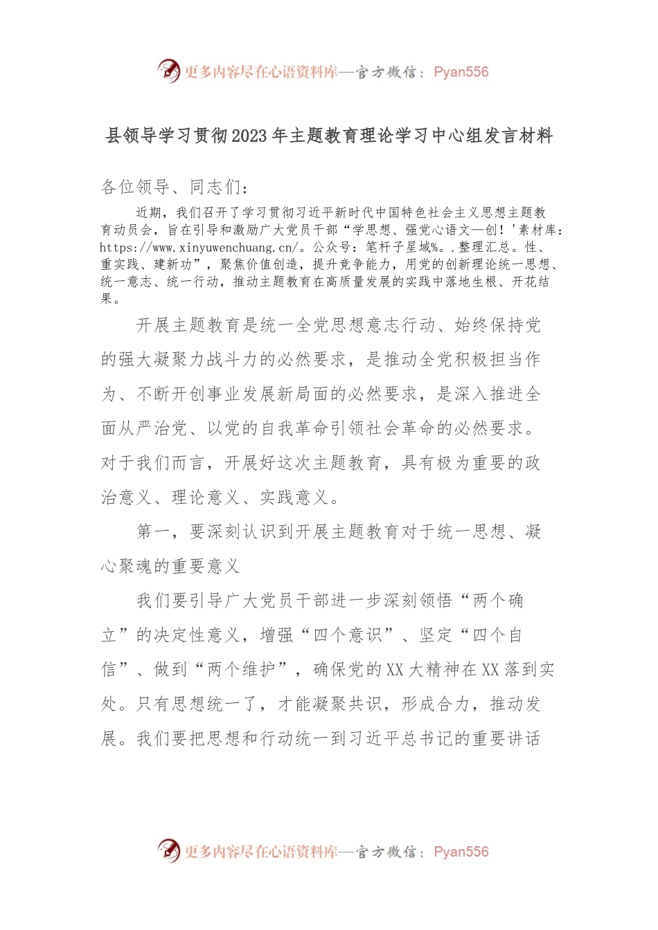 县领导学习贯彻2023年主题教育理论学习中心组发言材料.docx_第1页