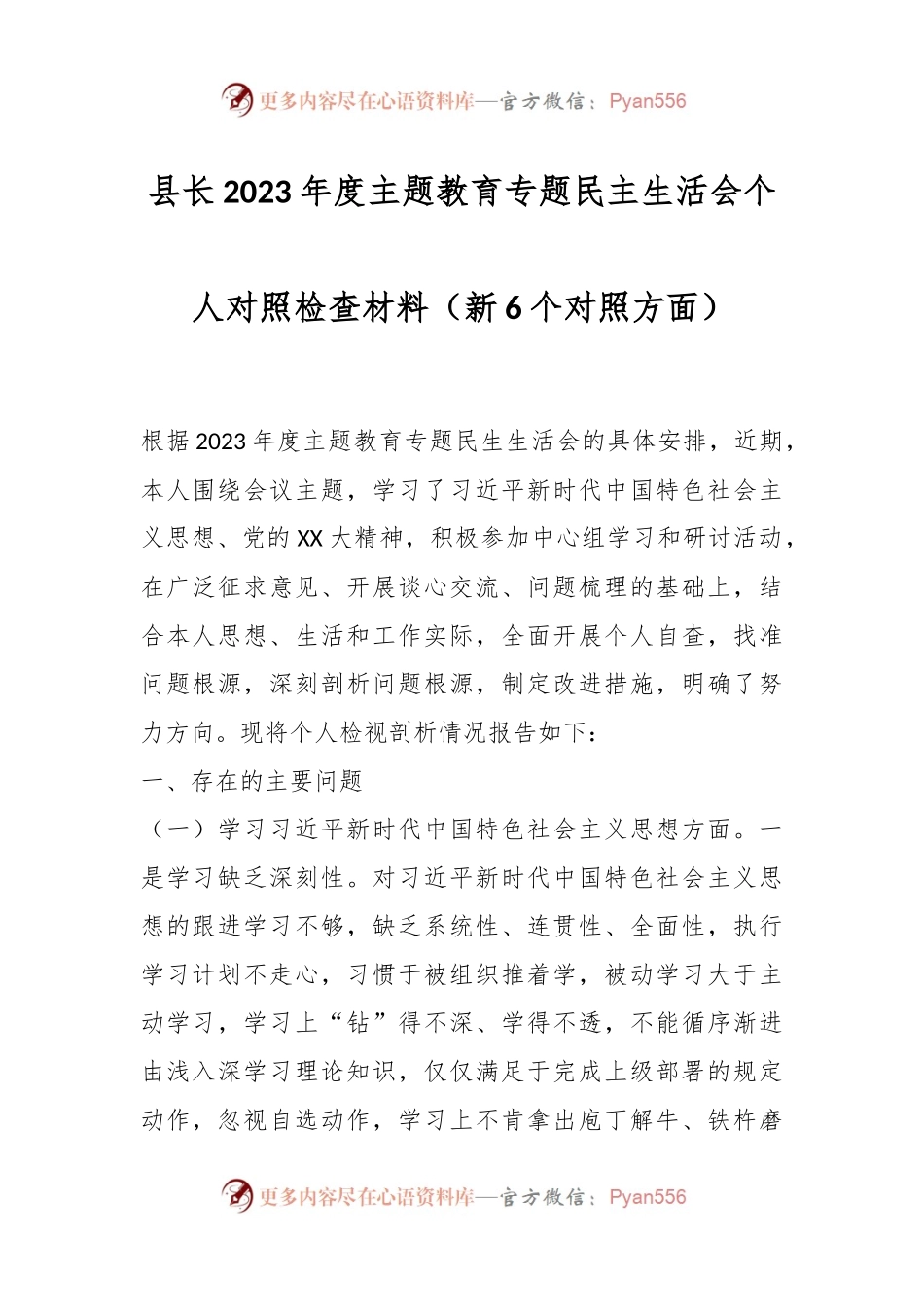县长2023年度主题教育专题民主生活会个人对照检查材料（新6个对照方面）.docx_第1页