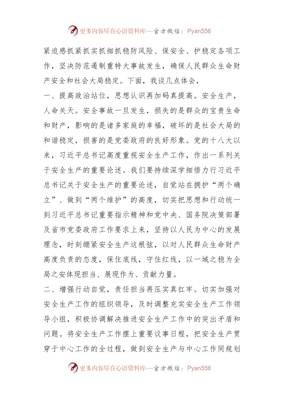 在2024年理论学习中心组专题学习总书记关于安全生产重要指示精神时的研讨交流发言.docx_第2页