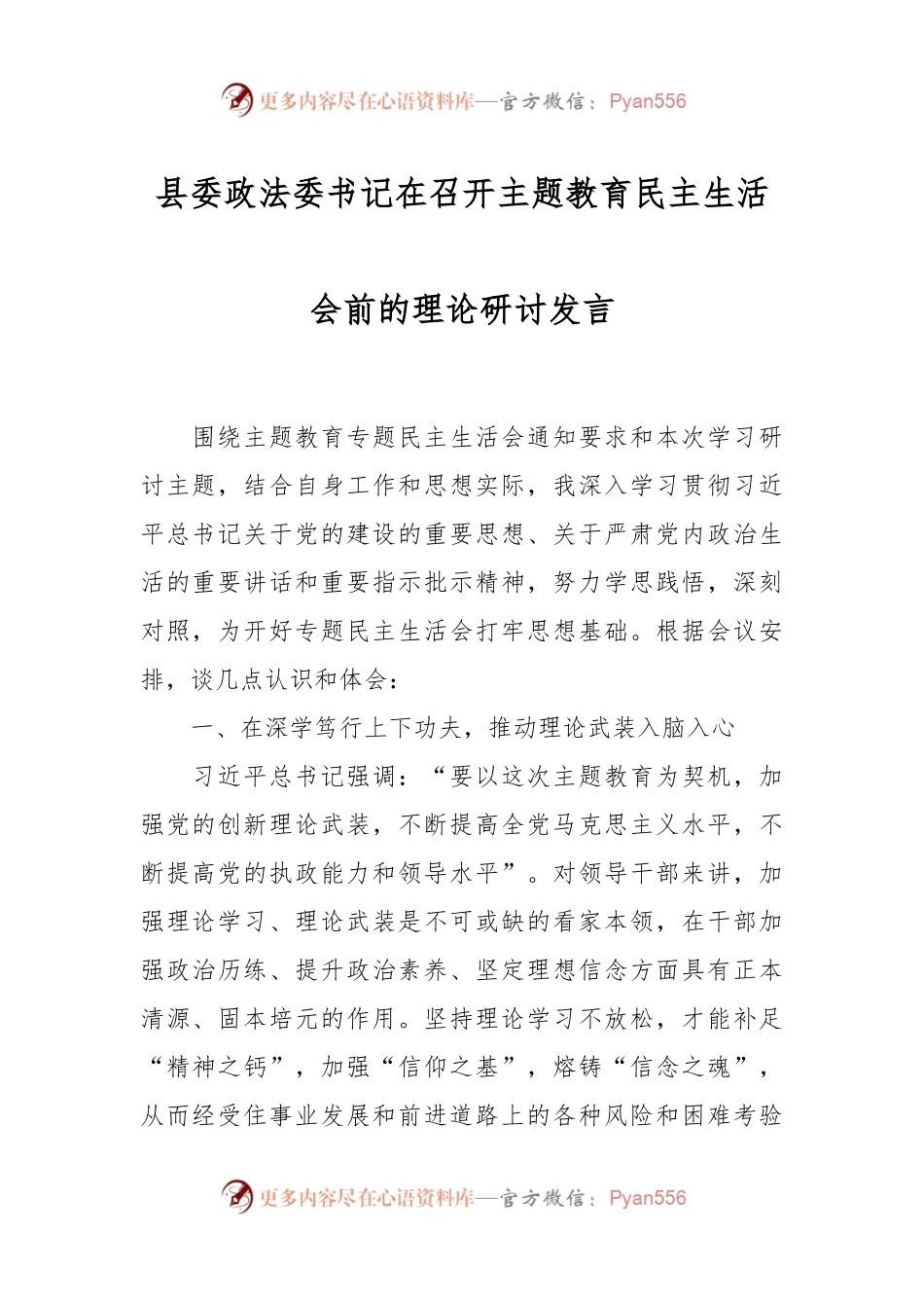 县委政法委书记在召开主题教育民主生活会前的理论研讨发言稿.docx_第1页