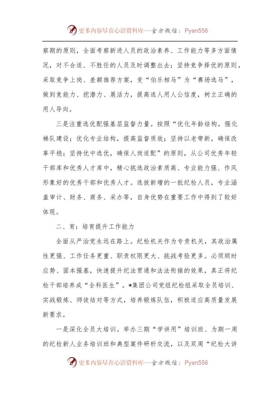 国企纪检队伍建设经验材料.docx_第2页