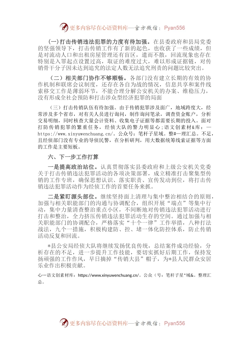 县公安局经侦大队打击传销工作汇报.docx_第2页