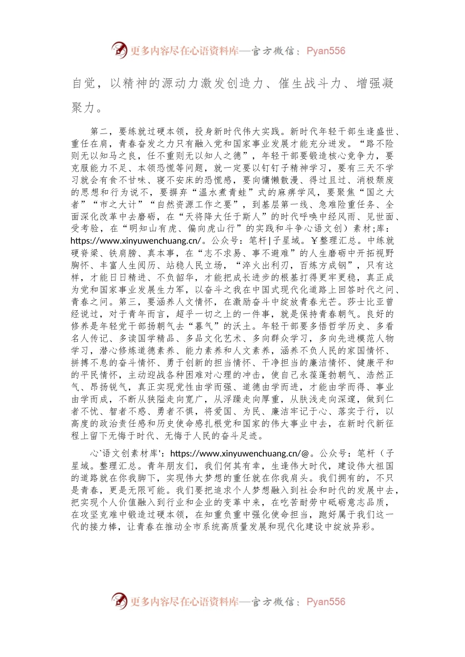 在2024年自然资源系统青年干部座谈会上的讲话.docx_第2页