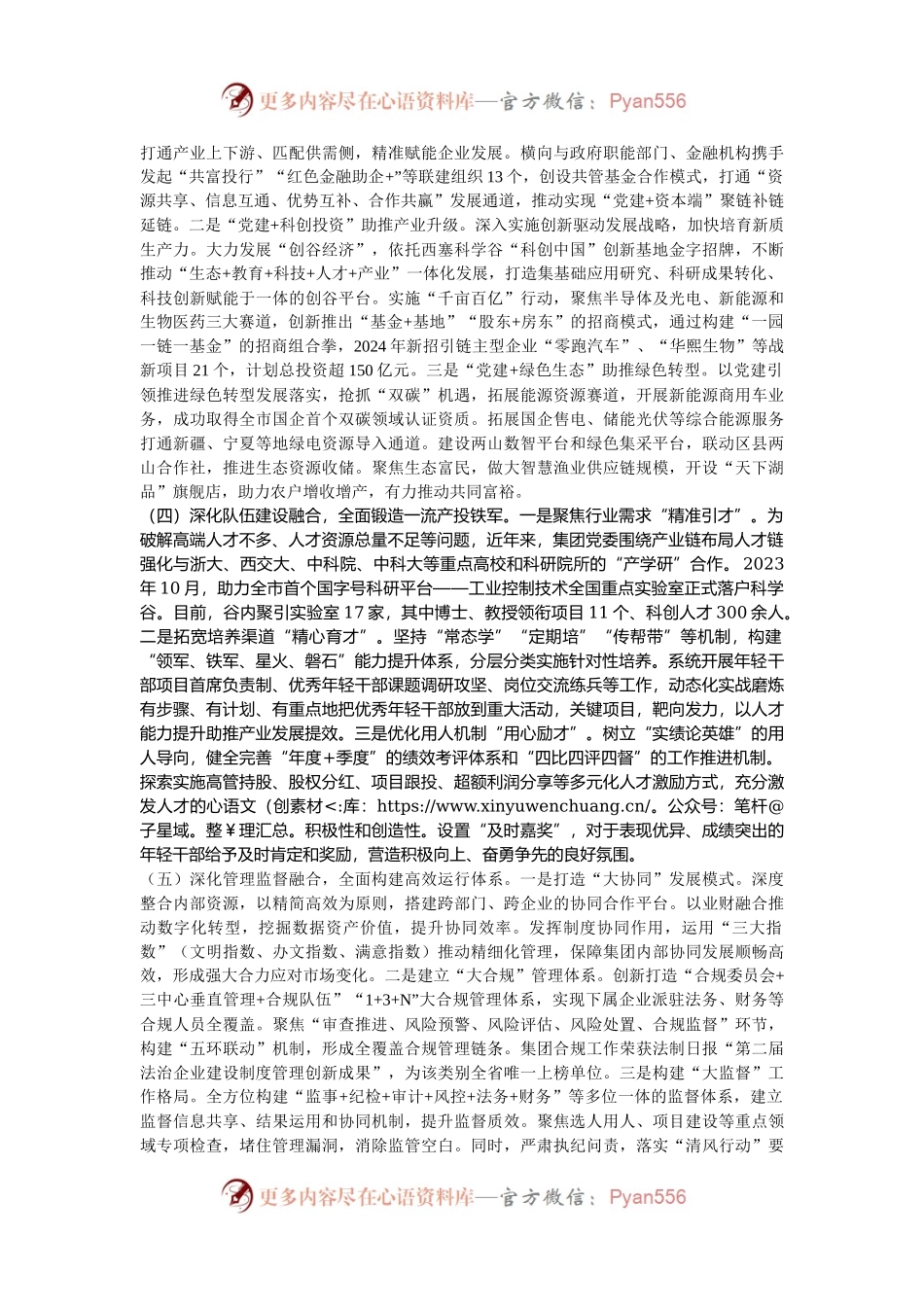 国企党委2024年推进全面从严治党工作总结.docx_第2页