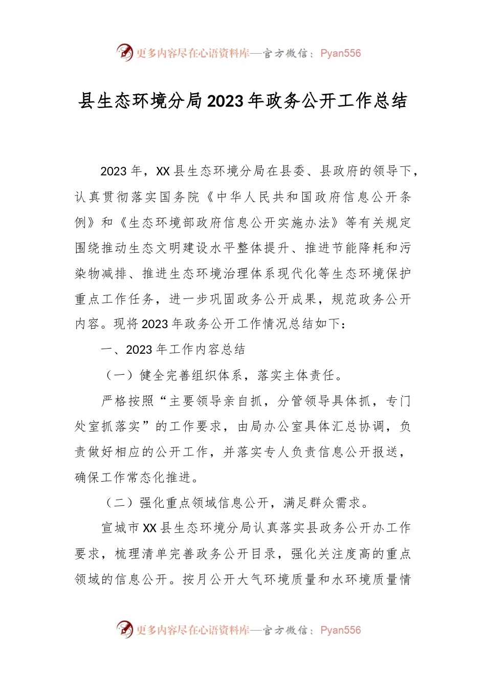 县生态环境分局2023年政务公开工作总结.docx_第1页