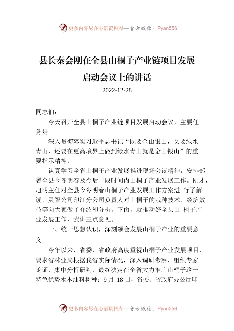 县长秦会刚在全县山桐子产业链项目发展启动会议上的讲话.docx_第1页