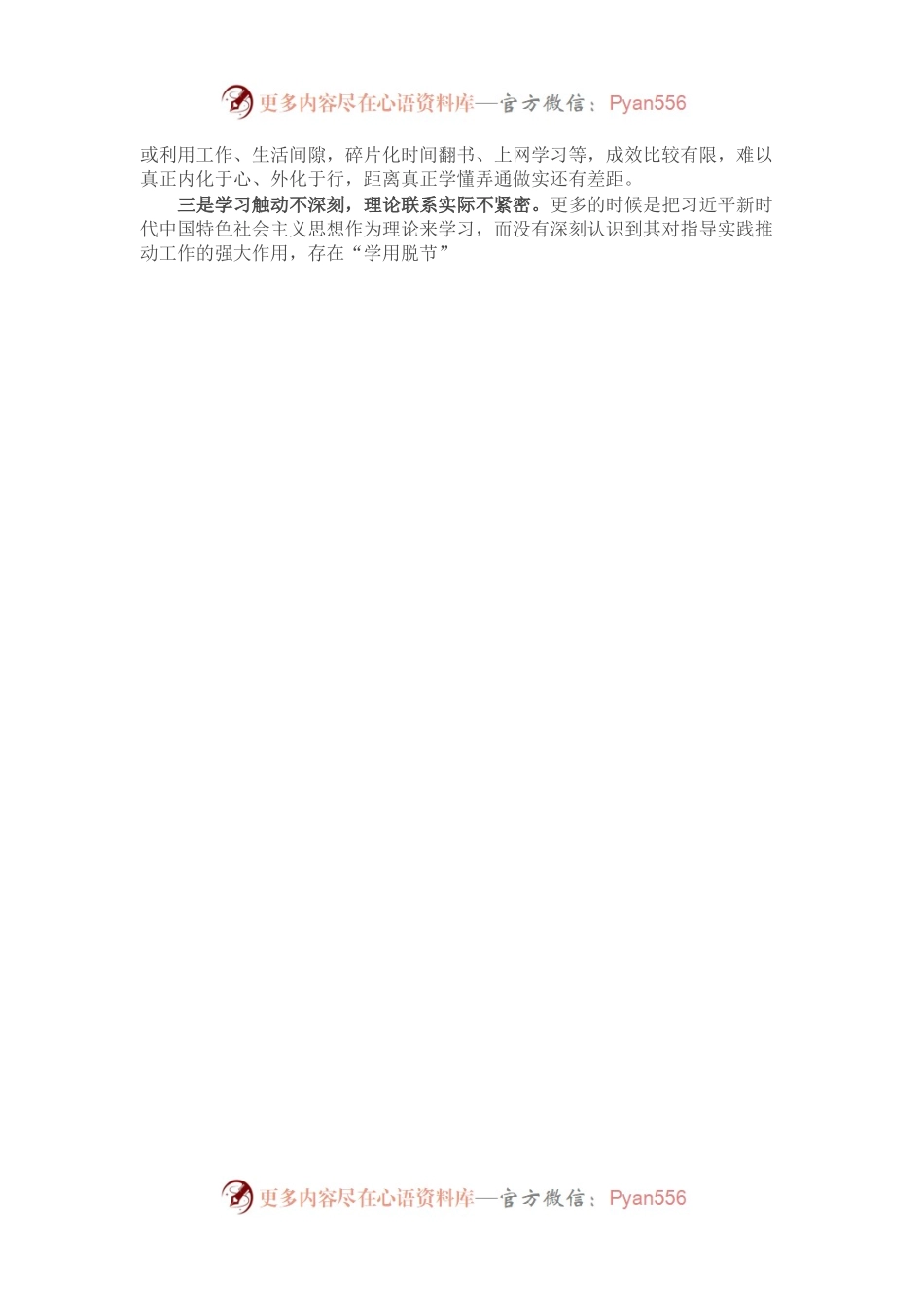 园区副书记2022年度民主生活会对照检查材料.docx_第2页