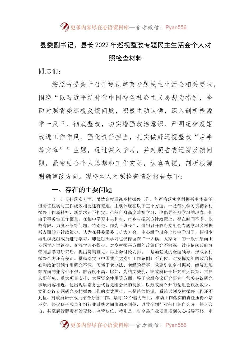 县长2022年巡视整改专题民主生活会个人对照检查材料.docx_第1页