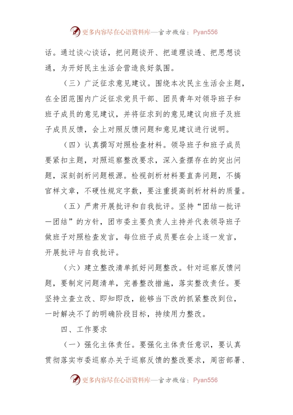 团市委巡察整改专题民主生活会会议方案.docx_第2页
