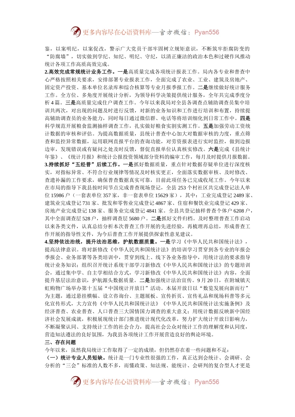 县统计局2024年工作总结暨2025年工作计划.docx_第2页
