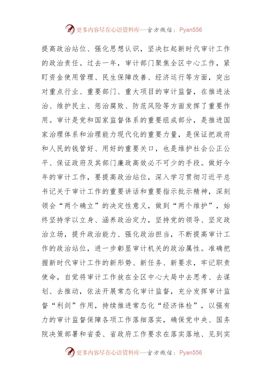 在2024年审计工作会议上的讲话提纲.docx_第2页