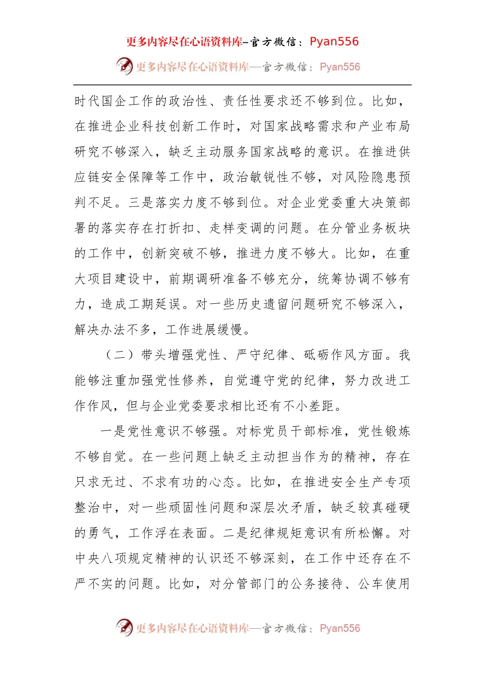 国企副总经理2024年度民主生活会个人对照检查材料（3870字）四个带头.docx_第2页