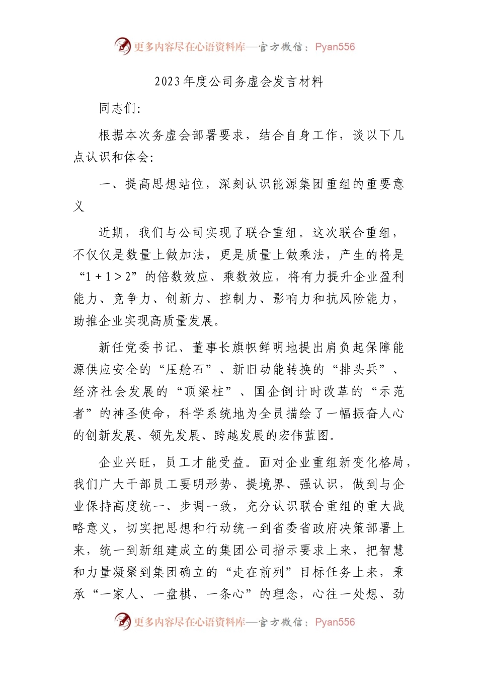 国企2023年度公司务虚会发言.docx_第1页