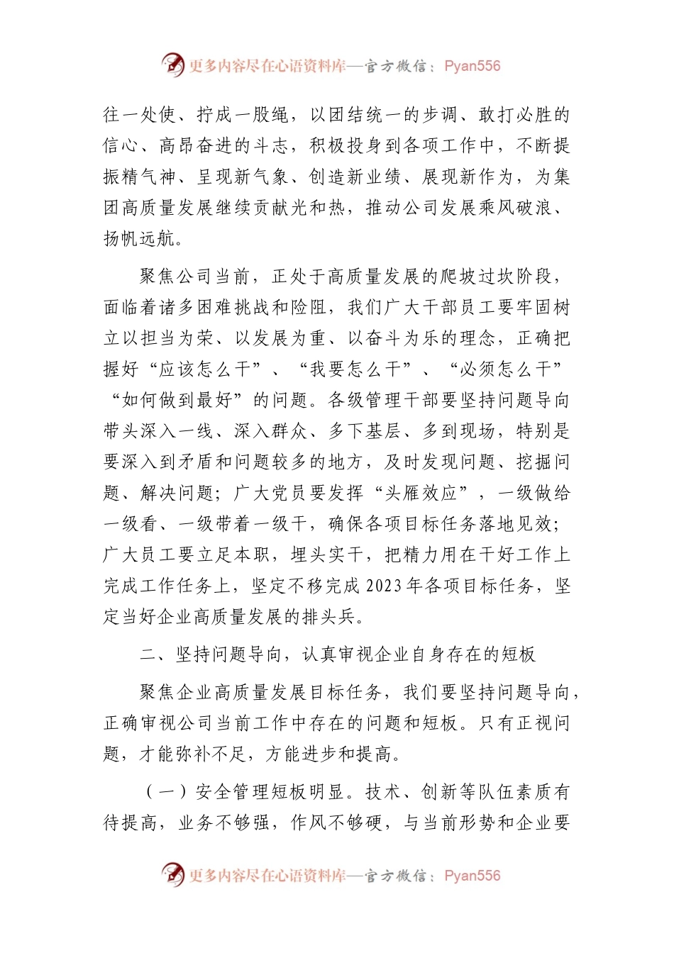 国企2023年度公司务虚会发言.docx_第2页