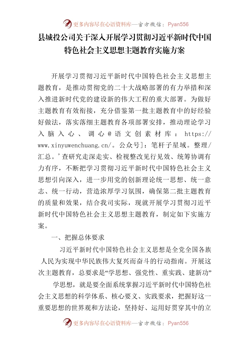 县城投公司学习贯彻主题教育实施方案.docx_第1页