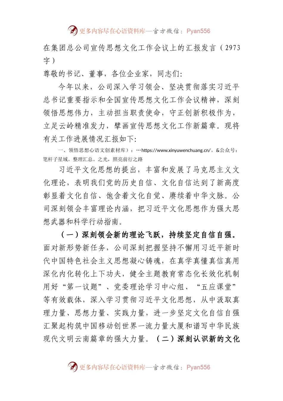 国企宣传思想文化工作会议上的汇报发言.docx_第1页