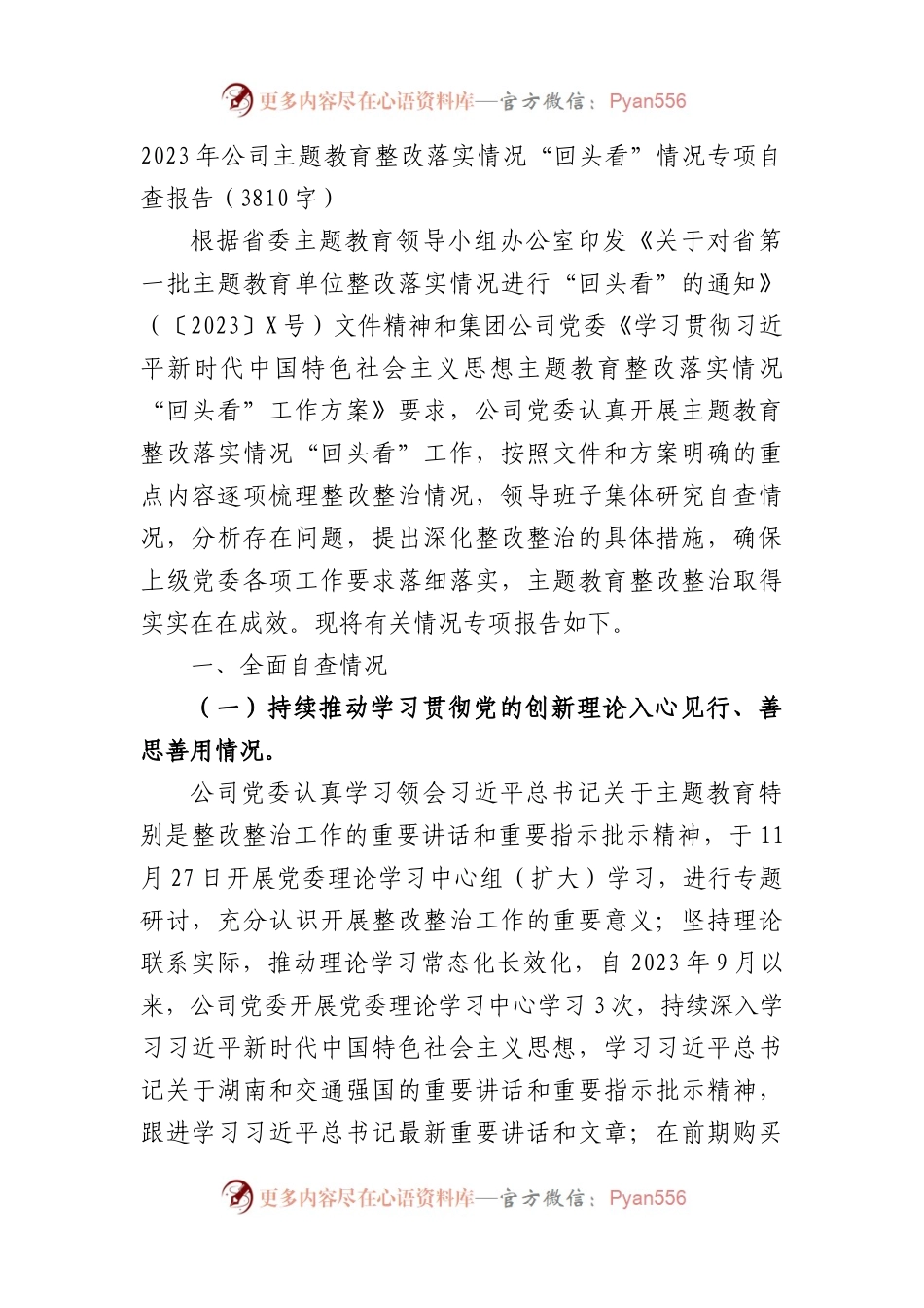 国企主题教育整改落实情况“回头看”情况专项自查报告.docx_第1页