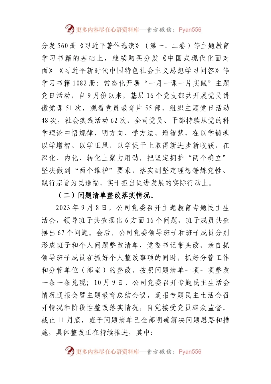 国企主题教育整改落实情况“回头看”情况专项自查报告.docx_第2页