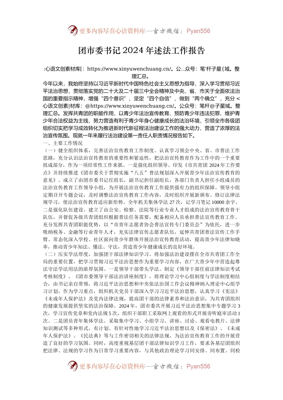 团市委书记2024年述法工作报告.docx_第1页