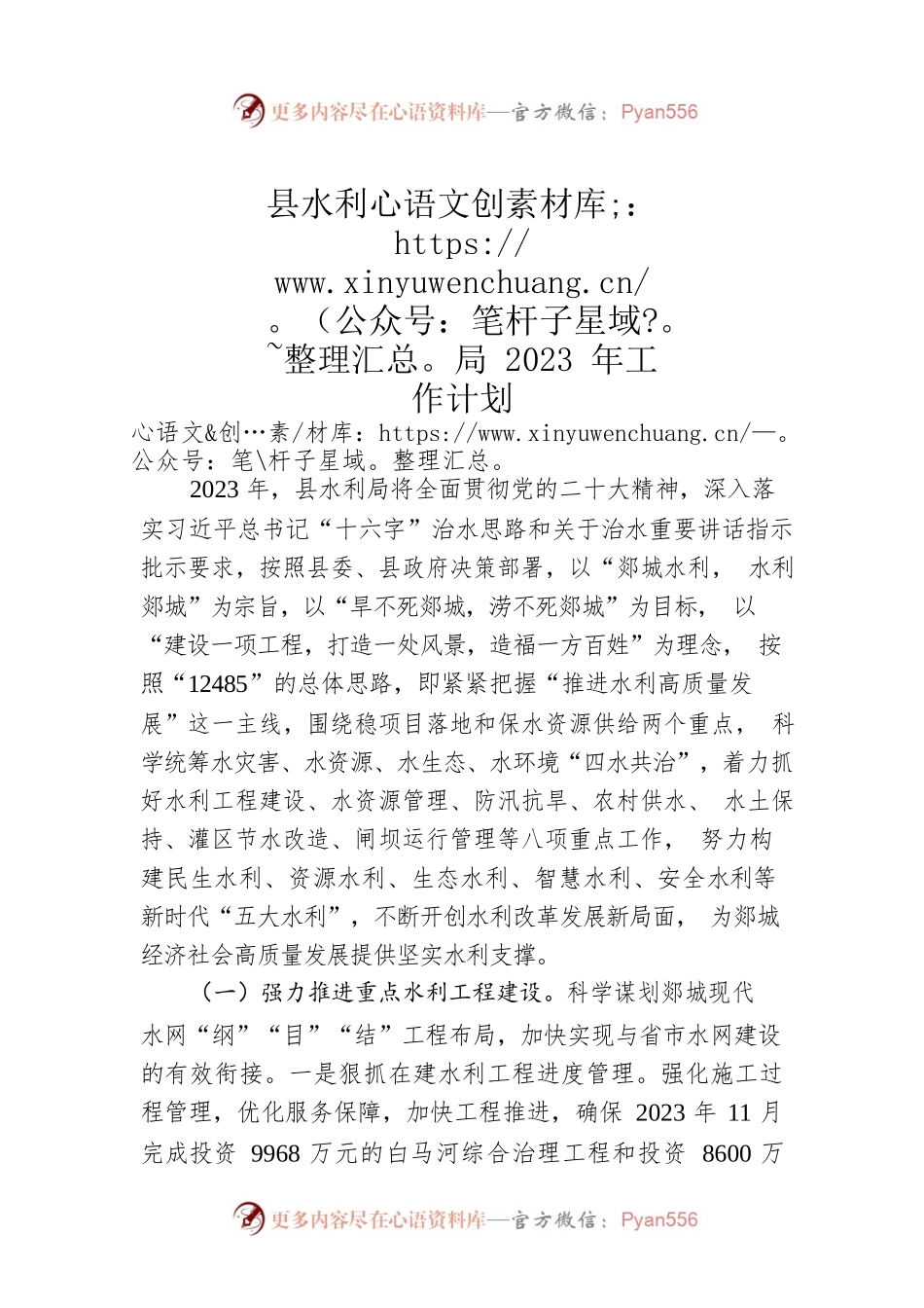 县水利局2023年工作计划.docx_第1页