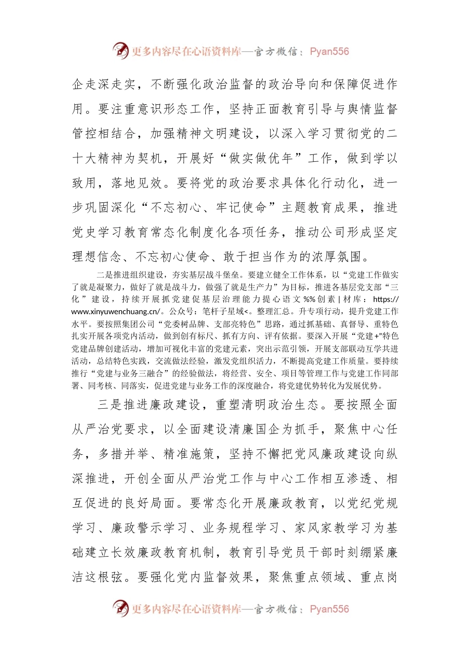 国企2023年党建工作计划.docx_第2页