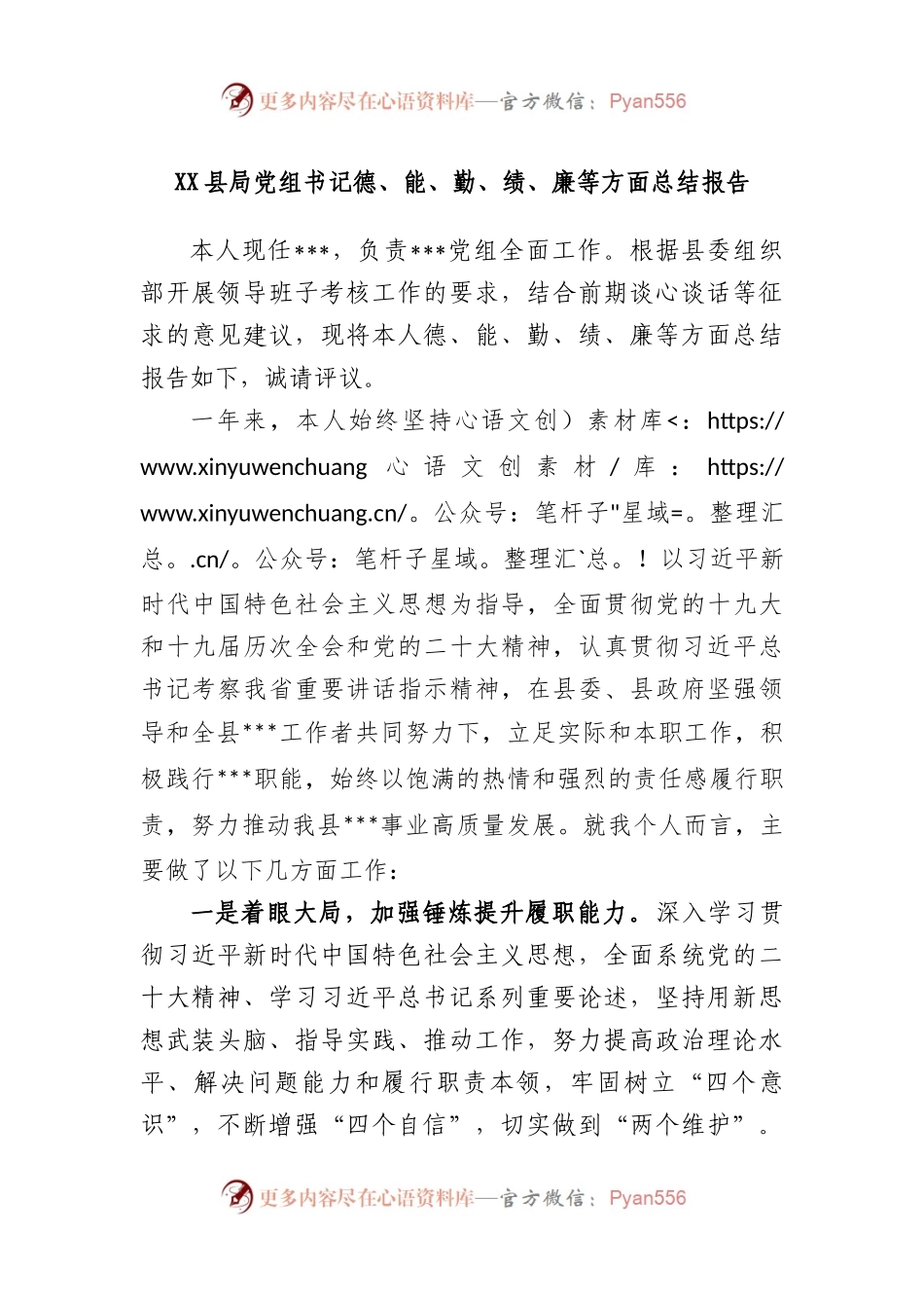县局党组书记德、能、勤、绩、廉等方面总结报告.docx_第1页