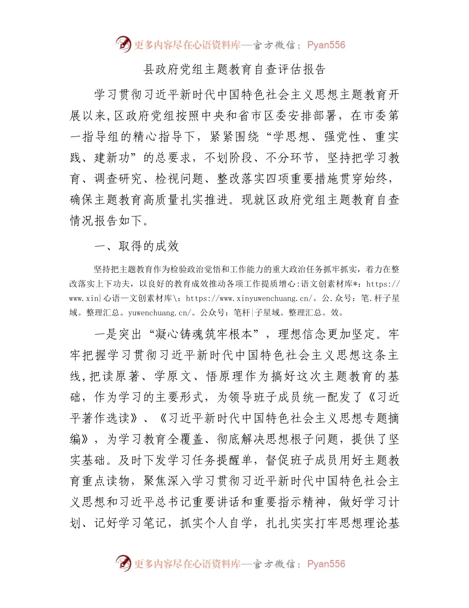 县政府党组主题教育自查评估报告.docx_第1页