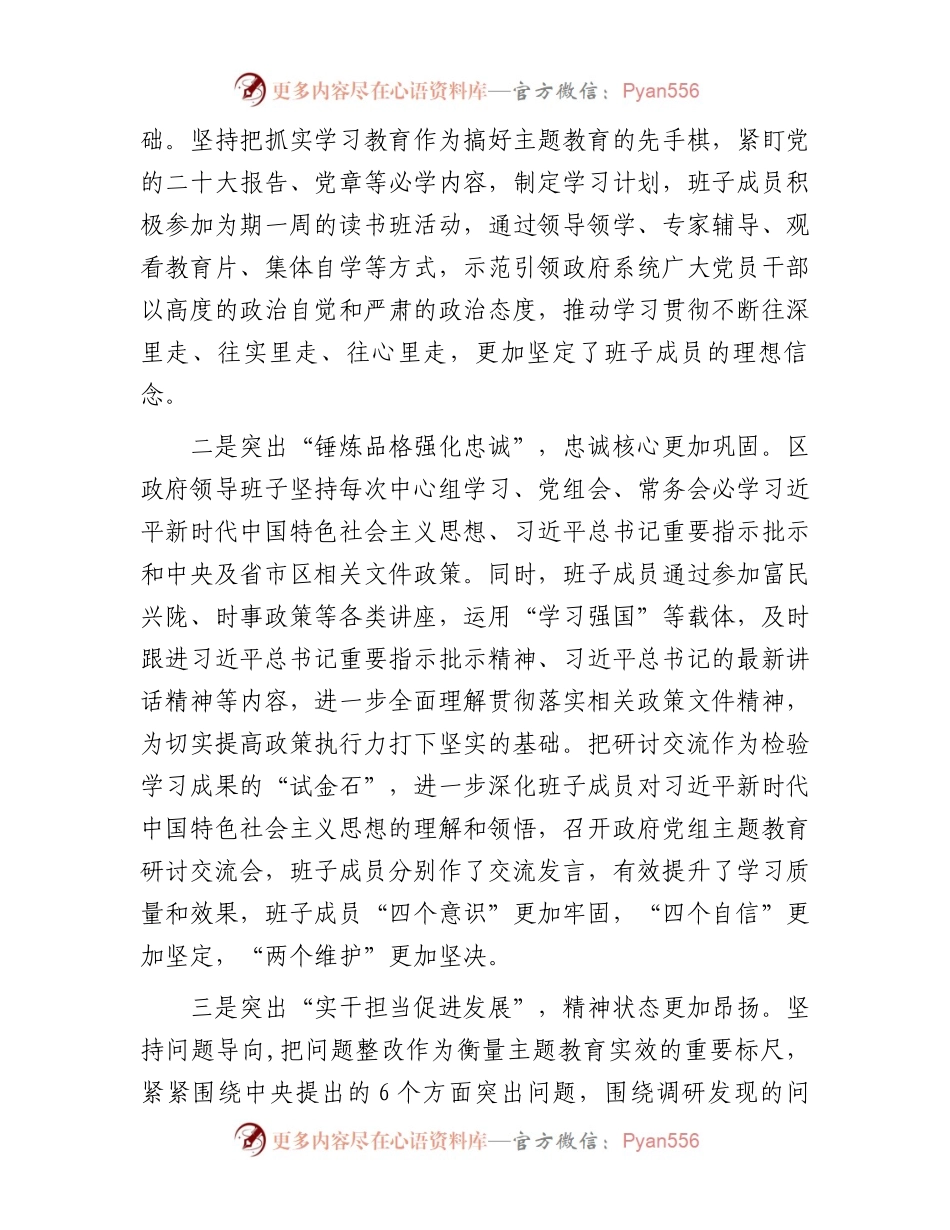 县政府党组主题教育自查评估报告.docx_第2页