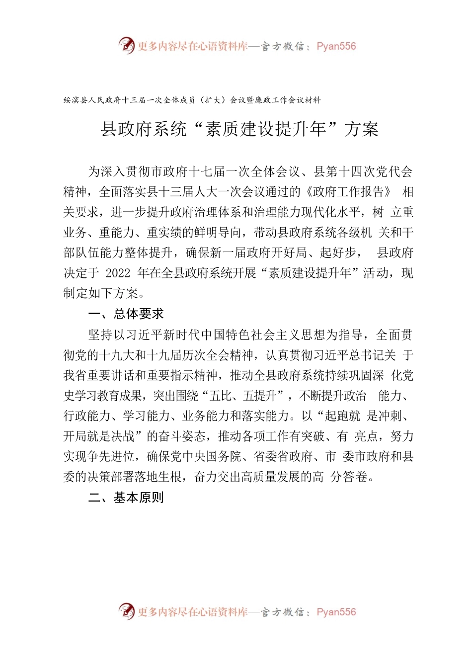 县政府系统“素质建设提升年”方案.docx_第1页