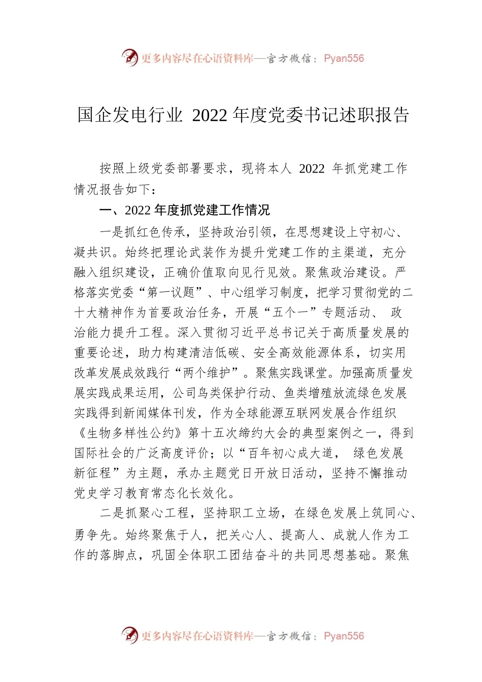 国企发电行业2022年度党委书记述职报告.docx_第1页