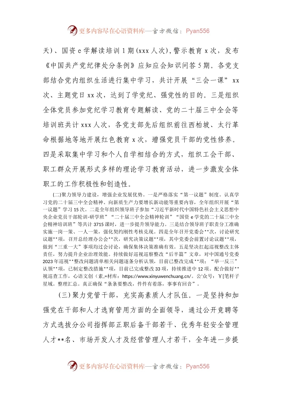 国企党委2024年工作总结及2025年工作计划.docx_第2页