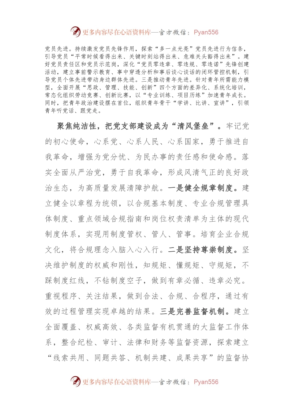 在2024年国企党支部建设经验交流会上的典型发言.docx_第2页