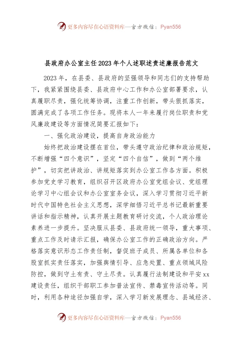 县政府办公室主任2023年个人述职述责述廉报告工作总结汇报.docx_第1页
