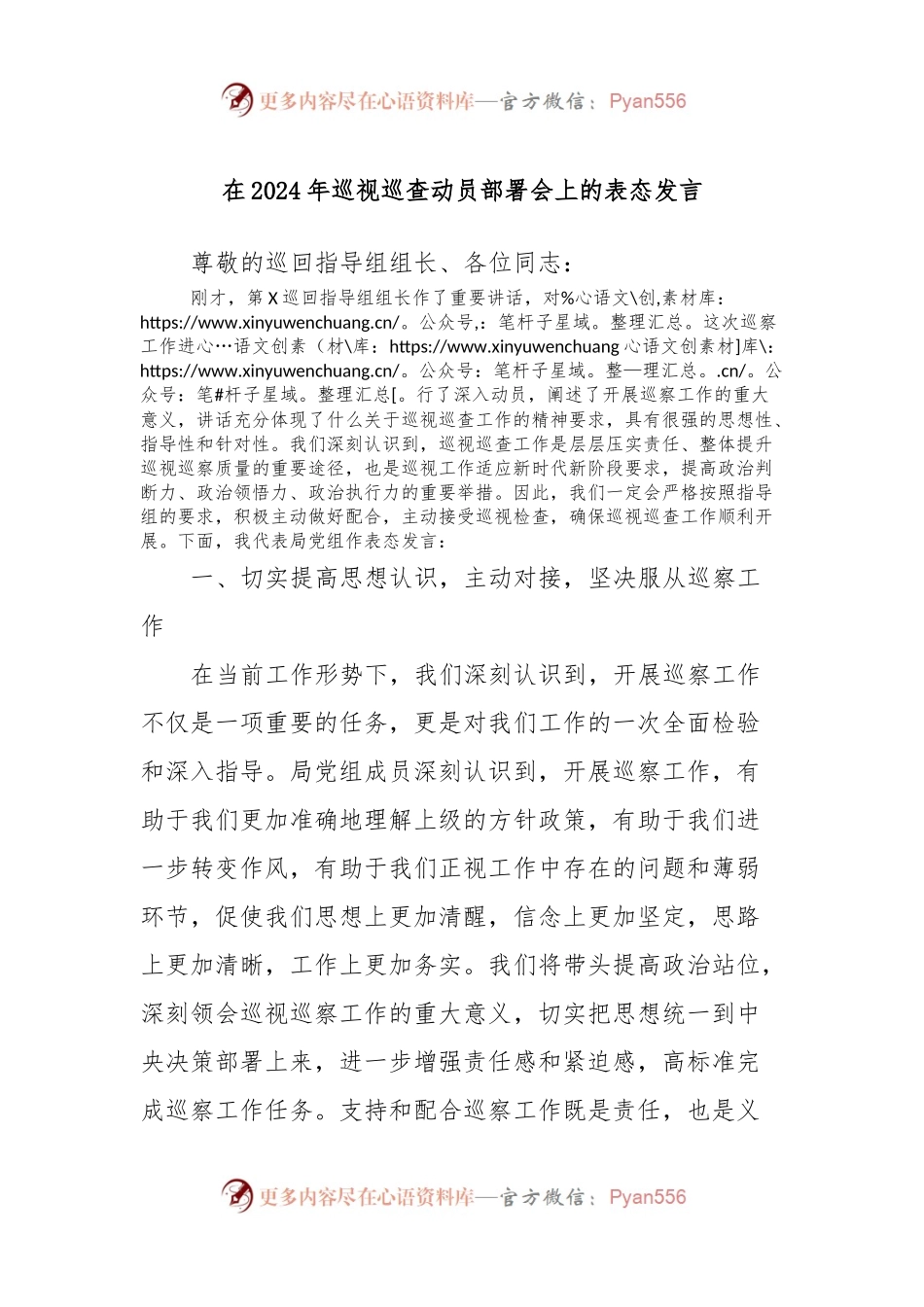 在2024年巡视巡查动员部署会上的表态发言.docx_第1页