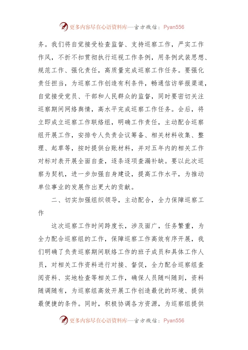 在2024年巡视巡查动员部署会上的表态发言.docx_第2页