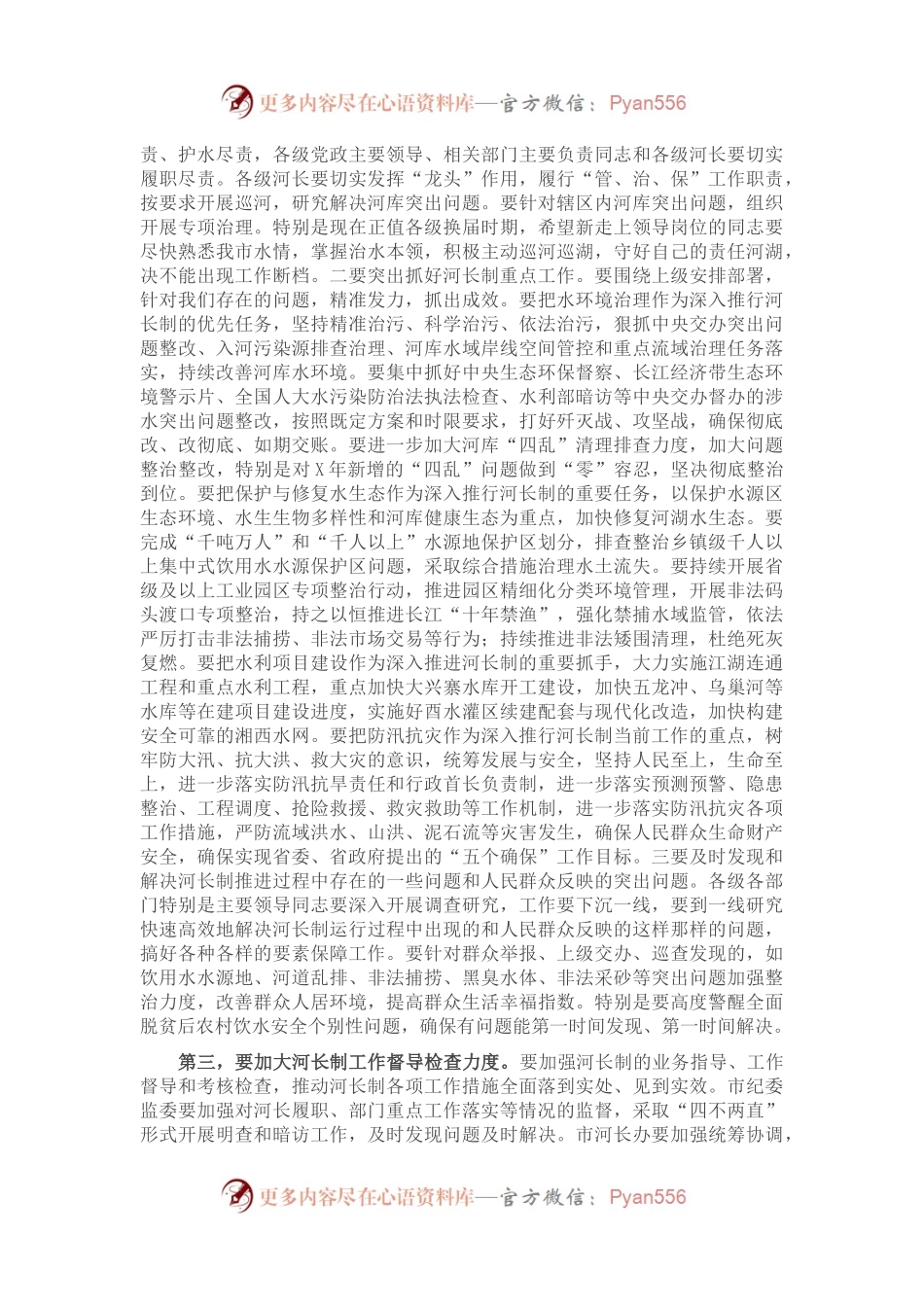 在全市总河长暨安全生产工作视频会议上的讲话.docx_第2页