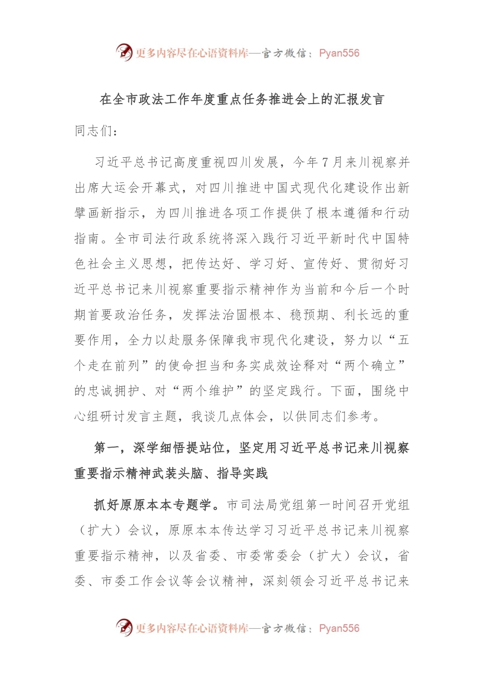 在全市政法工作年度重点任务推进会上的汇报发言.docx_第1页