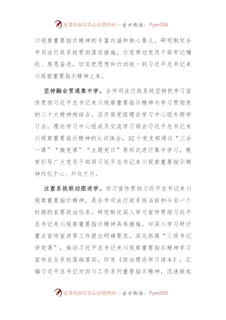 在全市政法工作年度重点任务推进会上的汇报发言.docx_第2页