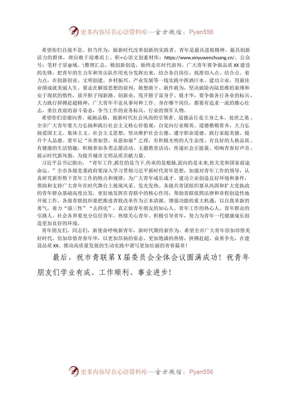 在市青年联合会委员会全体会议上的讲话.docx_第2页