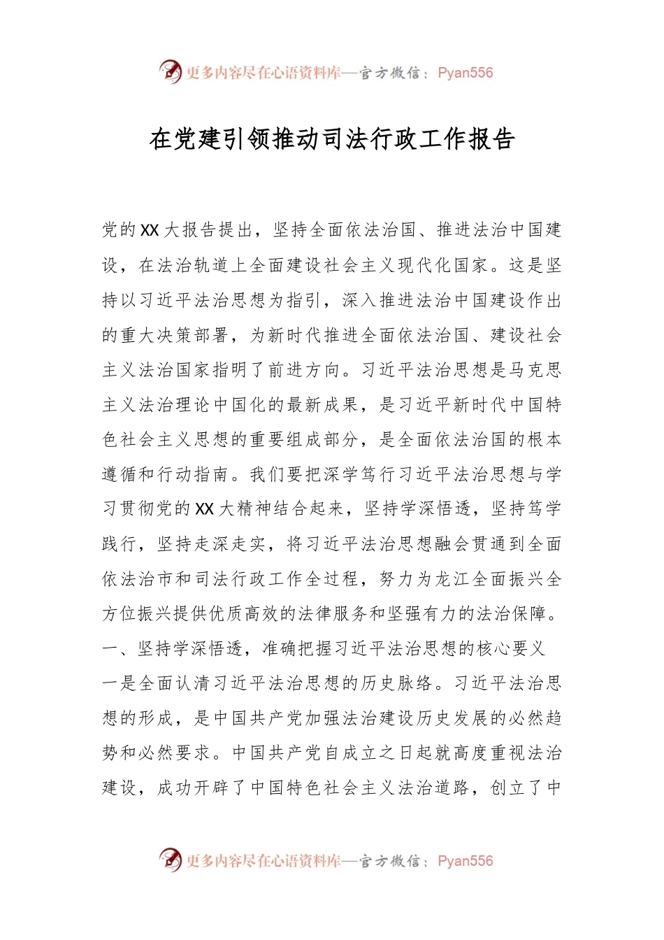 在党建引领推动司法行政工作报告.docx_第1页