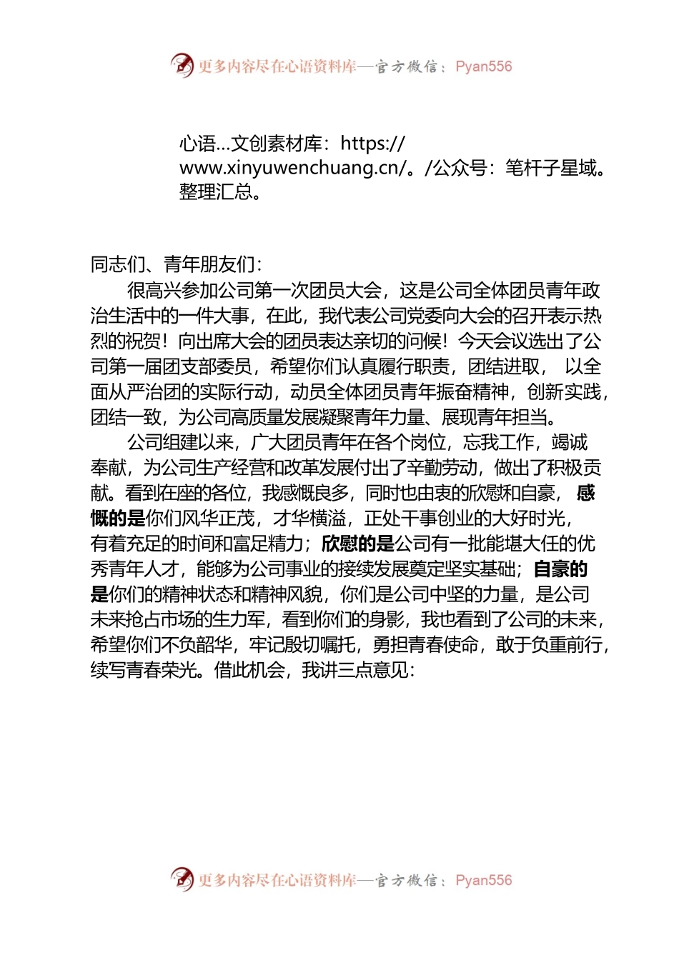 在团员大会上的讲话.docx_第1页