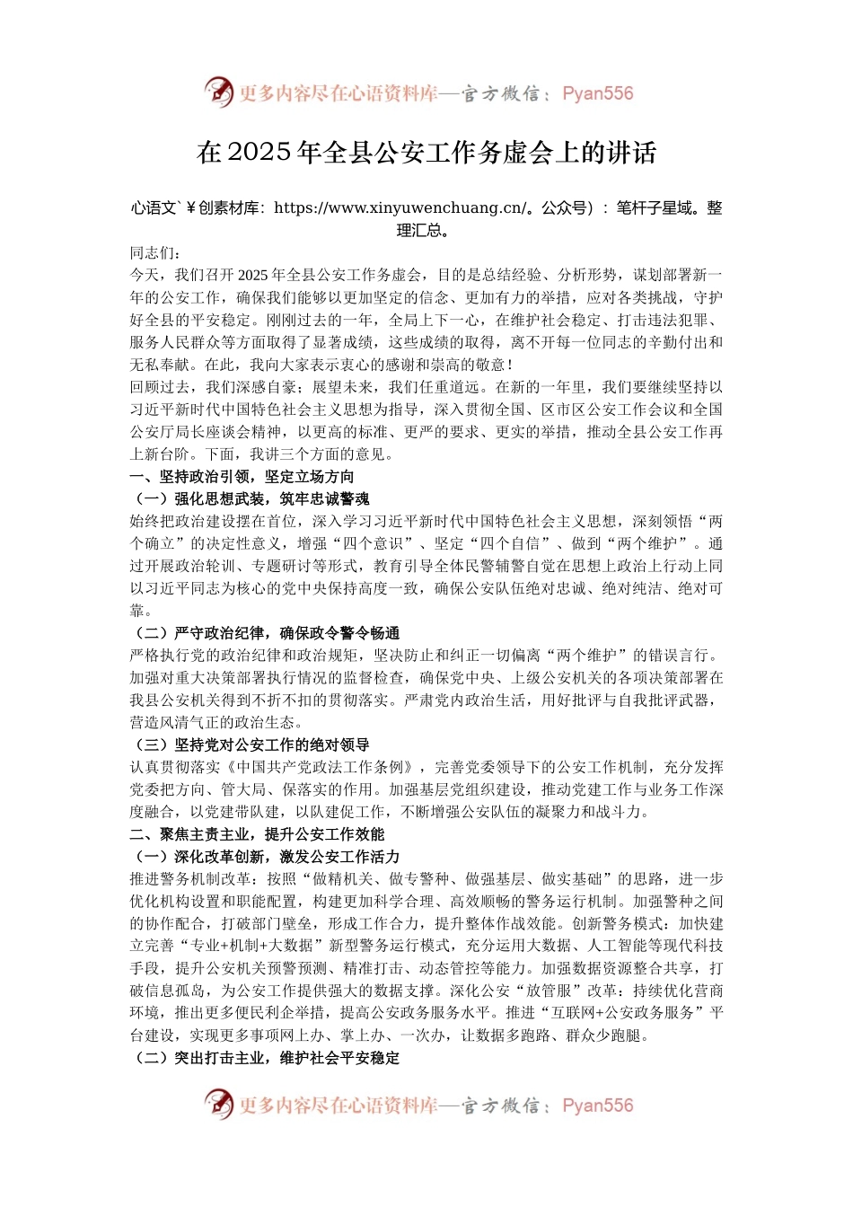 在2025年全县公安工作务虚会上的讲话.docx_第1页