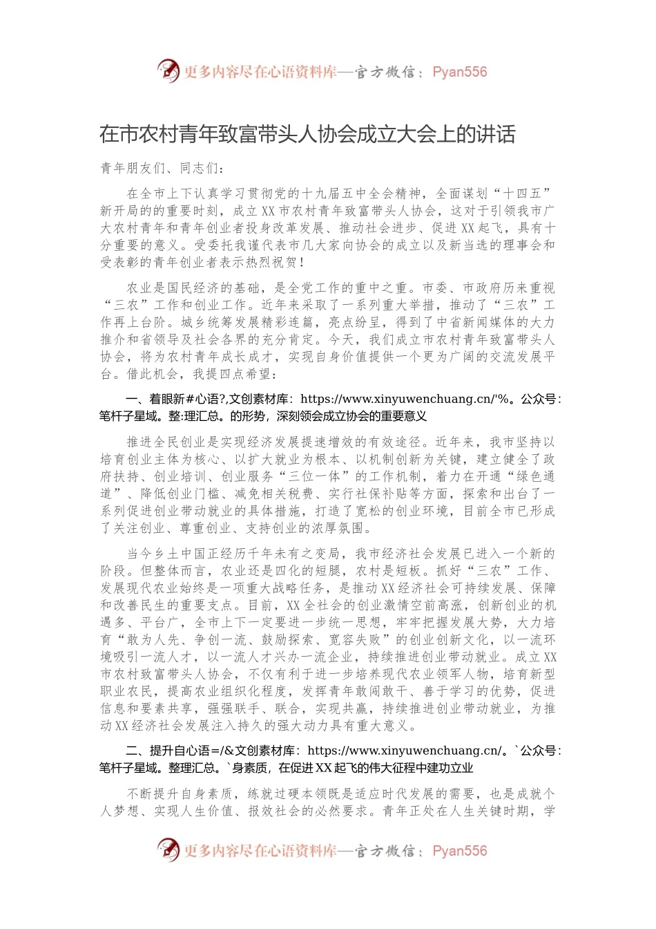 在市农村青年致富带头人协会成立大会上的讲话.docx_第1页
