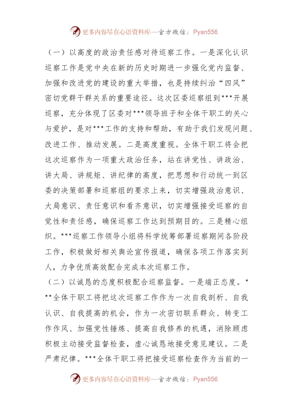 在巡察工作动员会上的表态发言（二）.docx_第2页