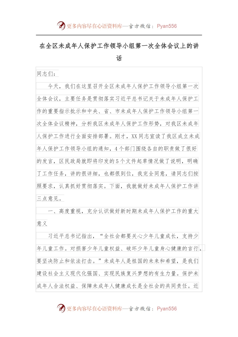 在全区未成年人保护工作领导小组第一次全体会议上的讲话.docx_第1页