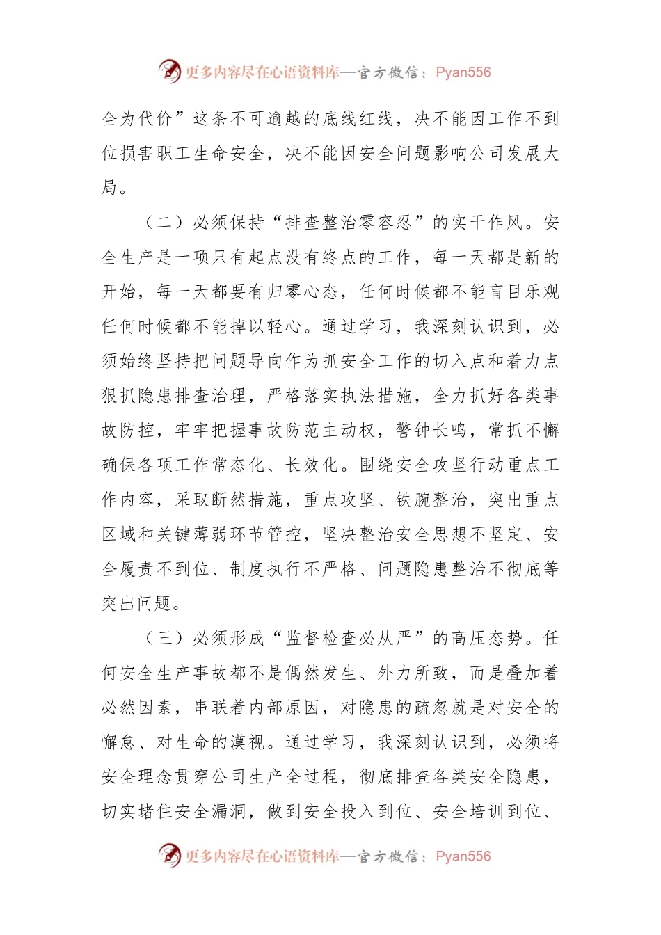 在应急管理专题培训班发言：强化安全发展理念 筑牢安全生产防线.docx_第2页