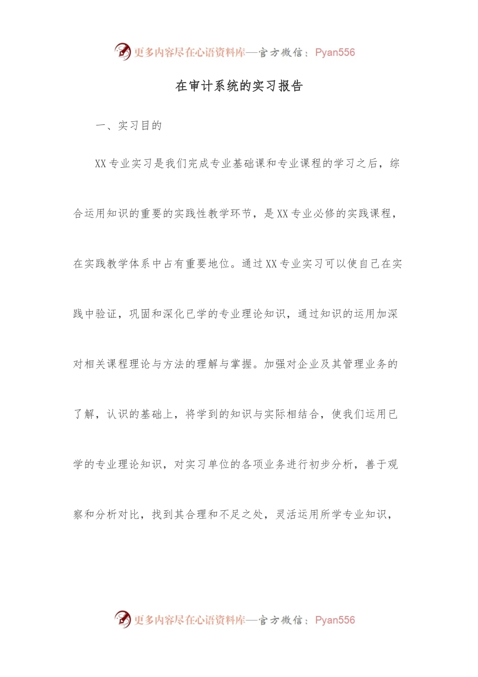 在审计系统的实习报告.docx_第1页
